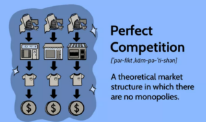 Perfekter Wettbewerb: Beispiele und ihre Funktionsweise