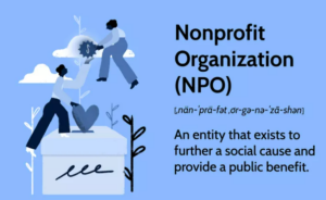 Gemeinnützige Organisation (NPO): Definition und Beispiel
