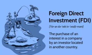 Ausländische Direktinvestitionen (FDI): Was sie sind, Arten und Beispiele