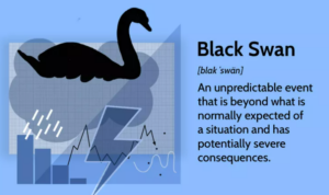 Schwarzer Schwan auf dem Aktienmarkt: Was ist das, mit Beispielen und Geschichte